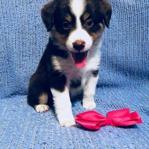 Meet your Posher, Kristy